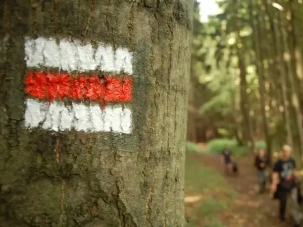 První trasa vyznačená Klubem českých turistů vedla: