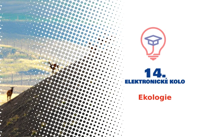14. Elektronické kolo